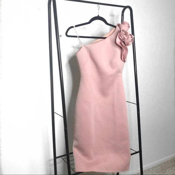 Eliza J Dresses & Skirts - Eliza J Pink One Shoulder Scuba Dress